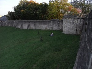 York Walls 2